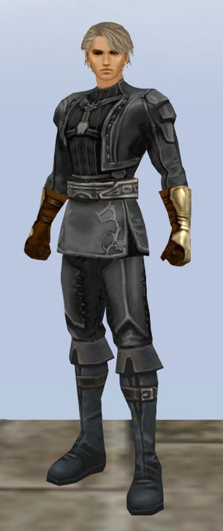 Elf male after Sunder